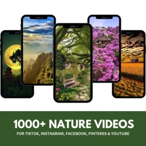 1000+ Nature Faceless Reels Bundle